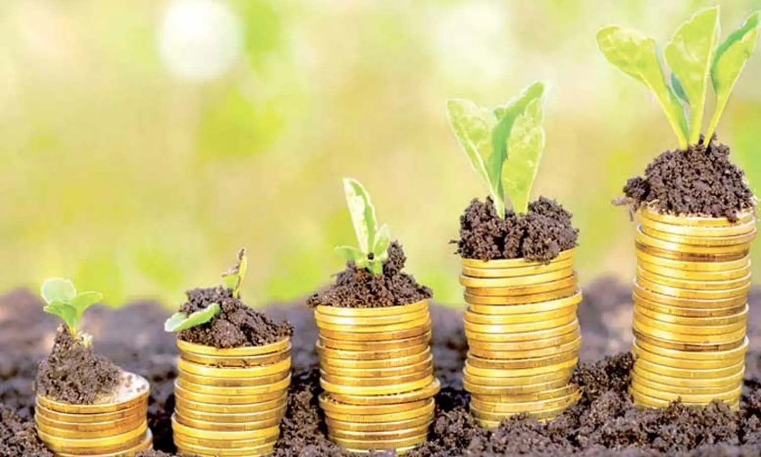 Actions of Hope e.V. – gemeinnützige Organisation – Förderung der Einführung von Biodünger durch die Bauern des Dorfes Fongo-Tongo